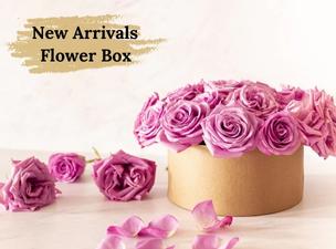 Arrivals Flower Boxes